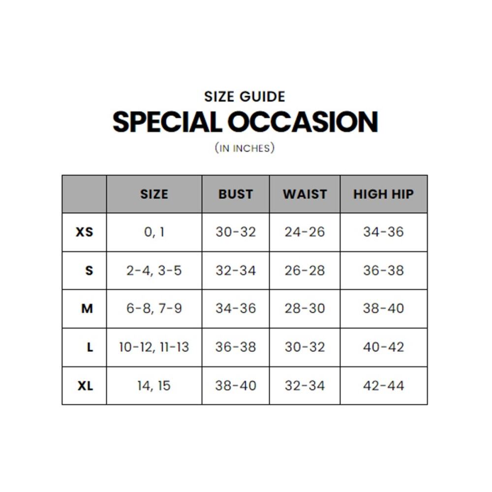 Elegant Silver Evening Gown - Picture 13 of 13